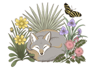 Fox &amp; Fern Native Landscapes - Home