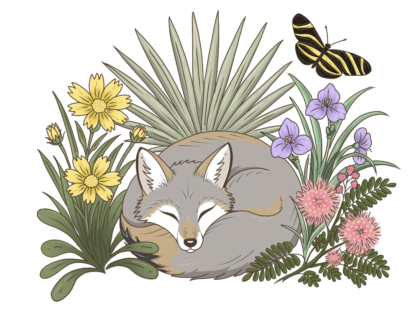 Fox & Fern Native Landscapes